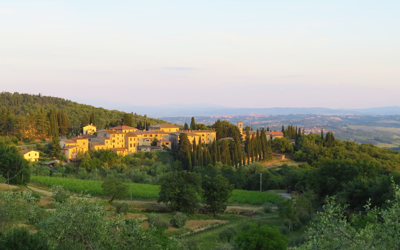 Chianti Classico, Montalcino, Montepulciano: Day Trip From Florence By Minivan tickets in Florence - Features | TickYourList