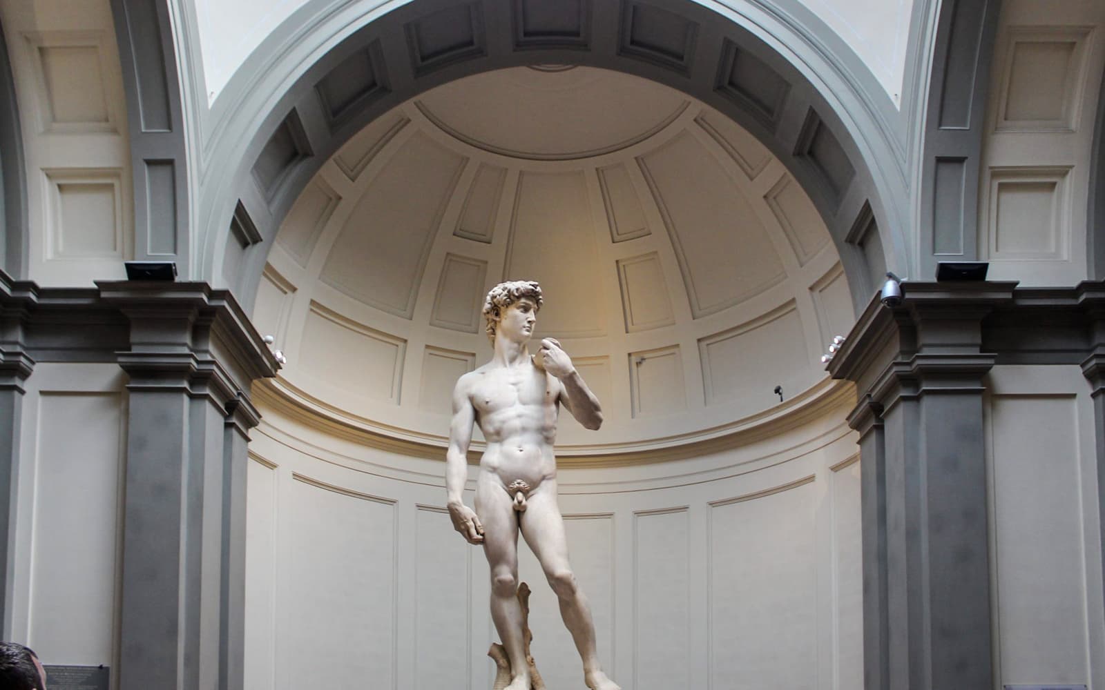 Accademia Gallery Hosted Timed Entry Tickets