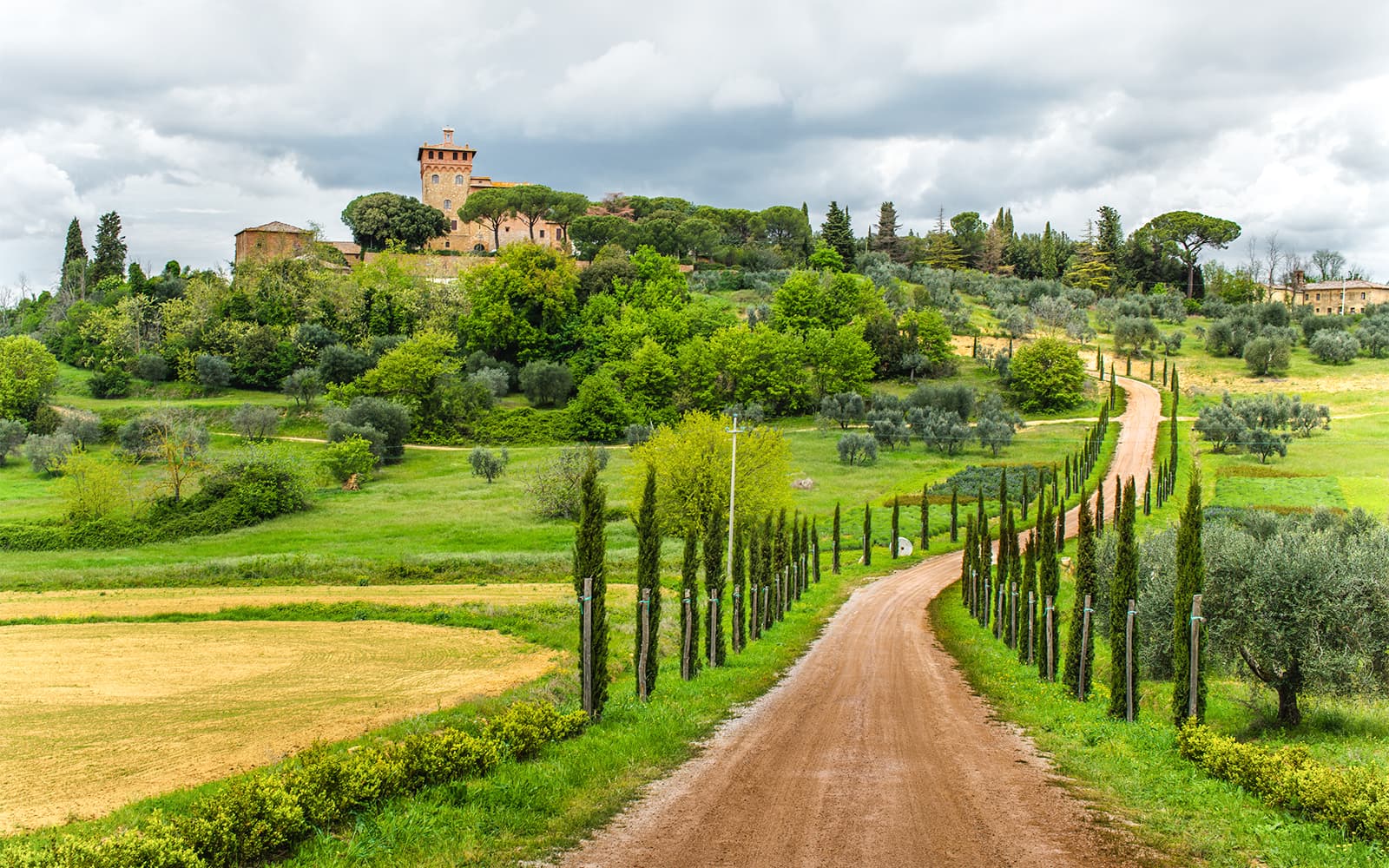 From Florence: Chianti Wine Tasting Tour