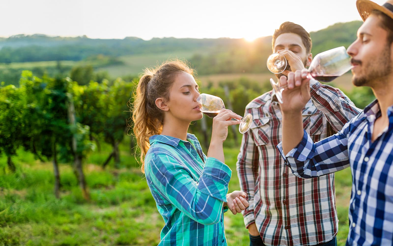 From Florence: Chianti Wine Tasting Tour tickets in Florence - Attractions | TickYourList