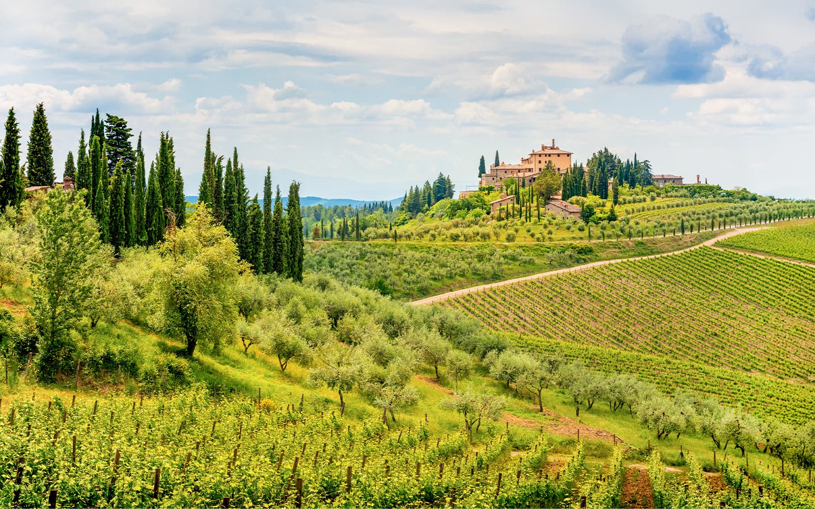 From Florence: Chianti Wine Tasting Tour tickets in Florence - Features | TickYourList