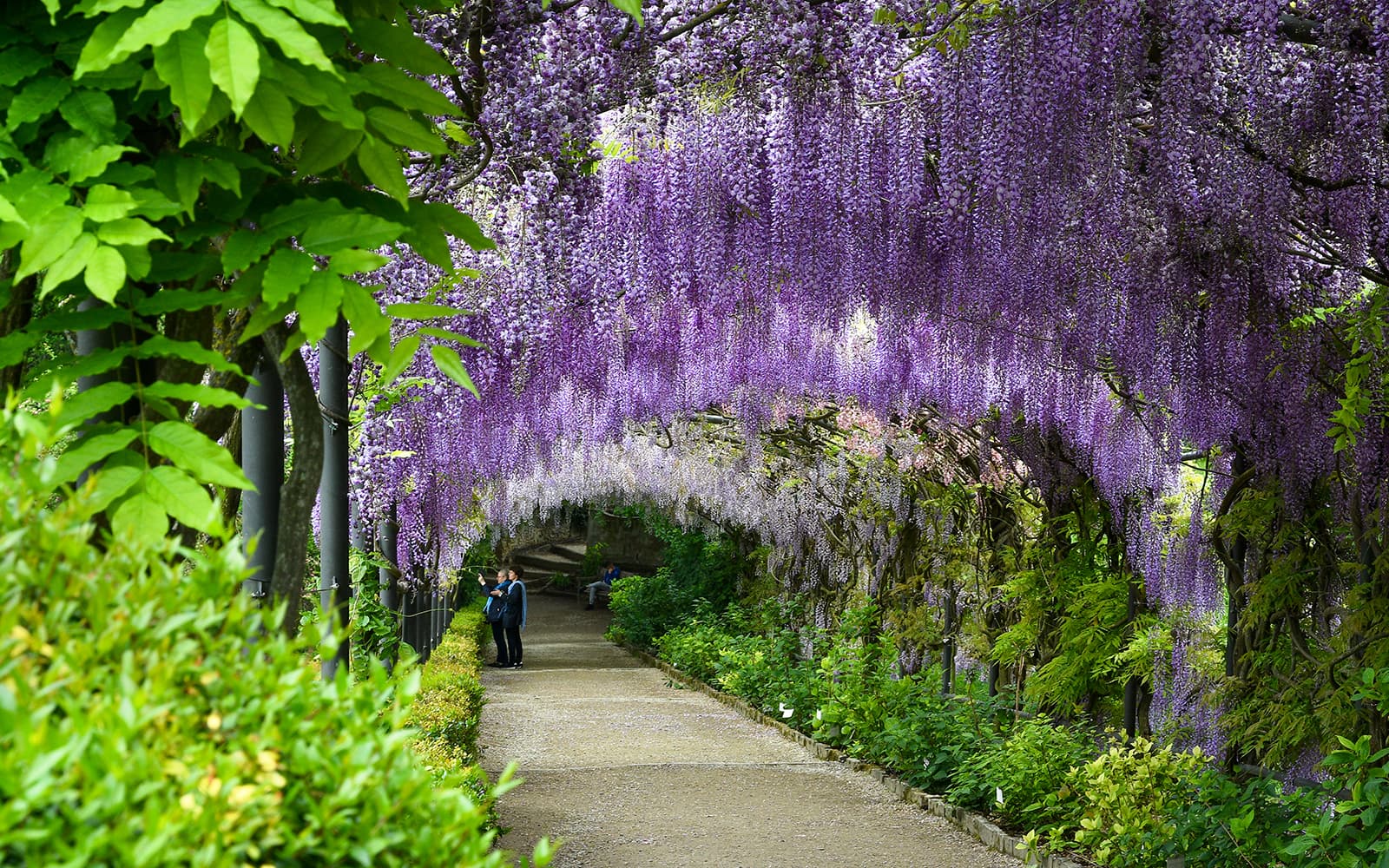 Pitti Palace & Boboli Gardens Skip-the-Line Tickets in Florence - Features | TickYourList