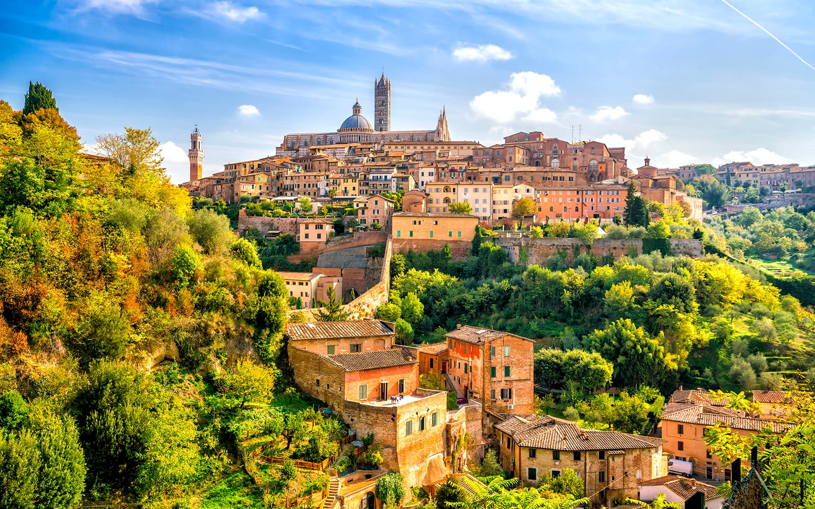 From Florence: Pisa, San Gimignano, Siena & Chianti Day Trip with Lunch & Tuscan Tastings