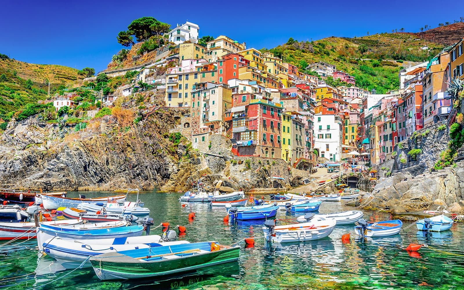 From Florence: Cinque Terre Day Trip tickets in Florence - Highlights | TickYourList