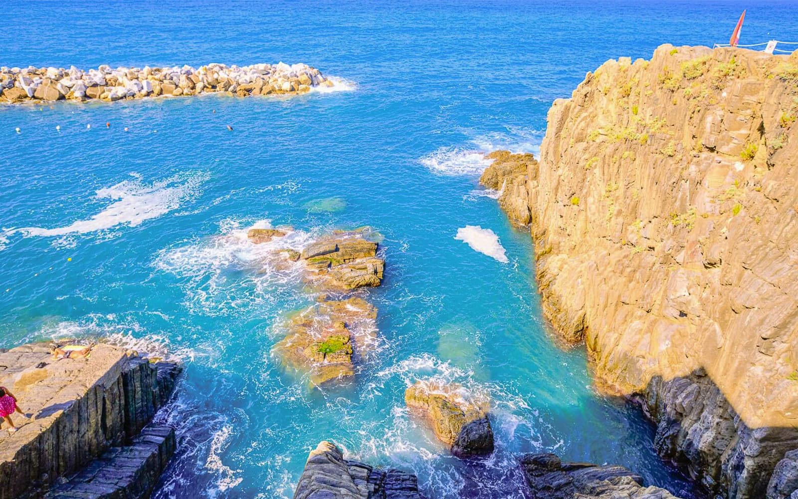 From Florence: Cinque Terre Guided Tour tickets in Florence - Activities | TickYourList