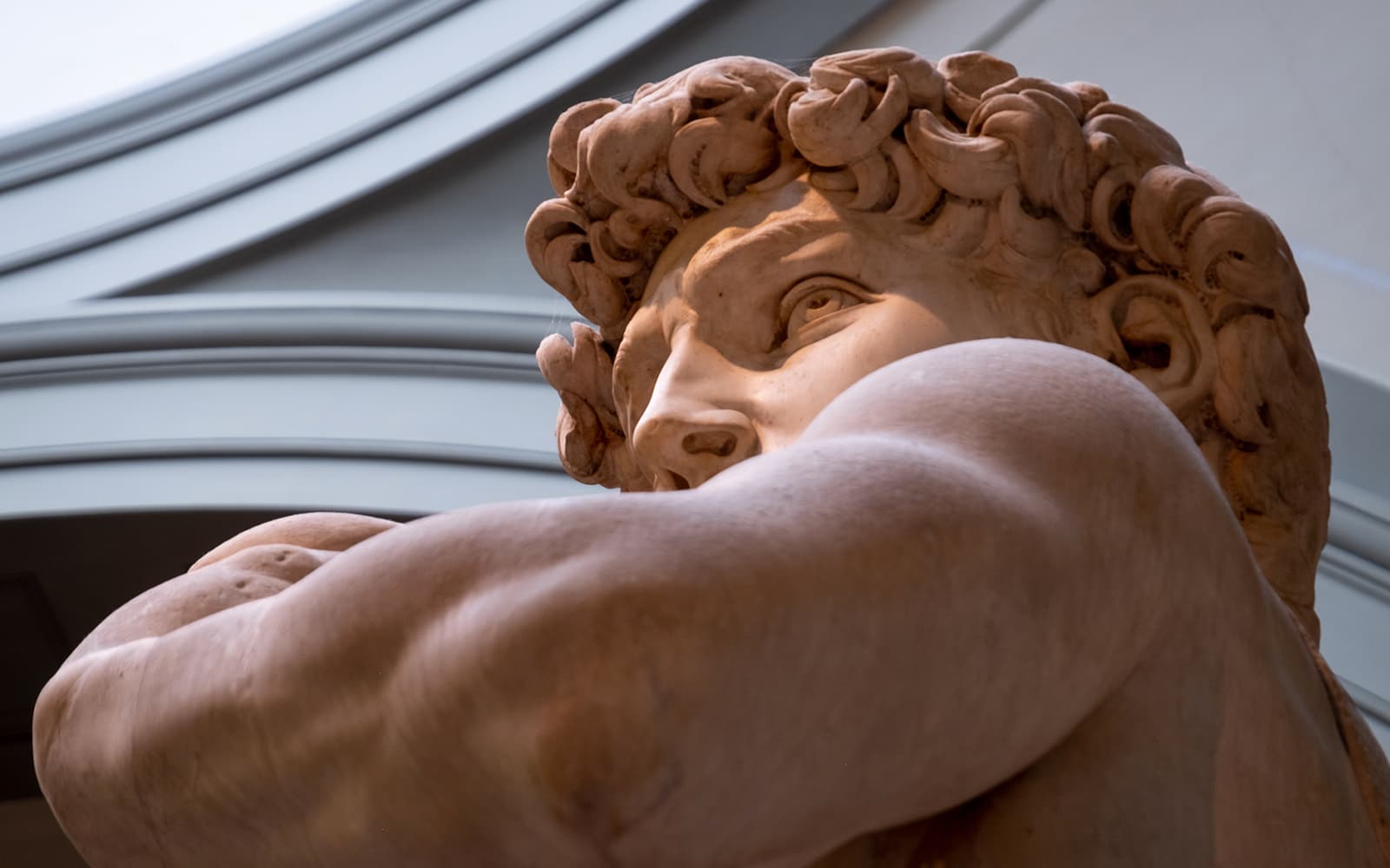 Accademia Gallery Fast-Track Tickets in Florence - Features | TickYourList