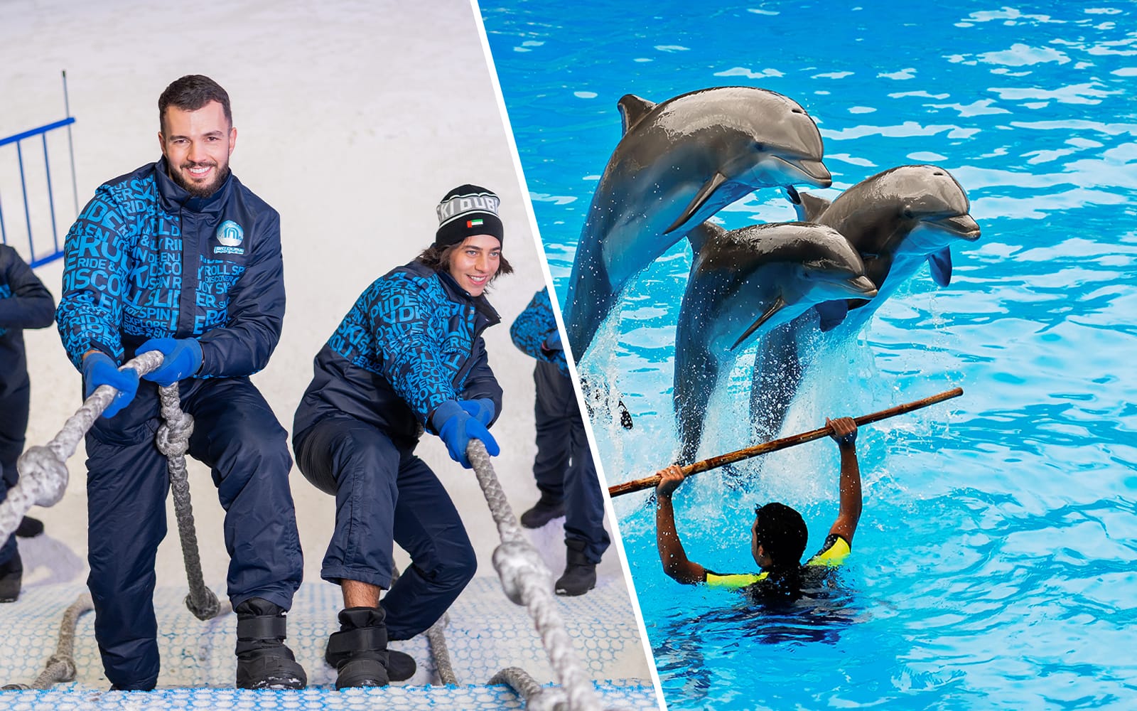 0aa303e5212503e51d8fb2cf27188191-28454-dubai-combo--save-30---ski-dubai-snow-plus-pass---dubai-dolphinarium-dolphin-and-seal-show-tickets-01.jpg