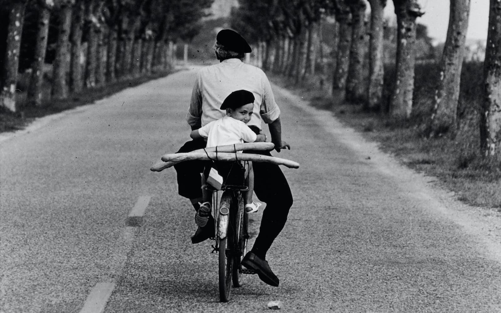 Entry Tickets to the Temporary Elliott Erwitt Exhibition at Villa Bardini in Florence - Highlights | TickYourList