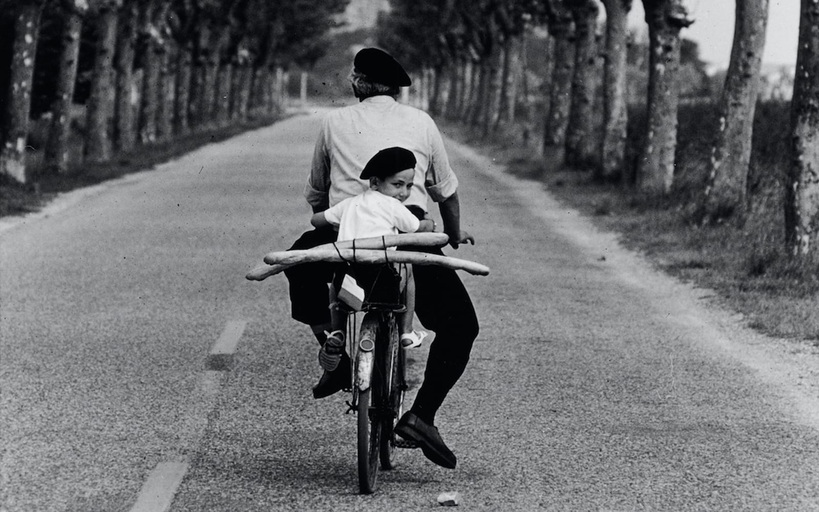 Entry Tickets to the Temporary Elliott Erwitt Exhibition at Villa Bardini in Florence - Highlights | TickYourList