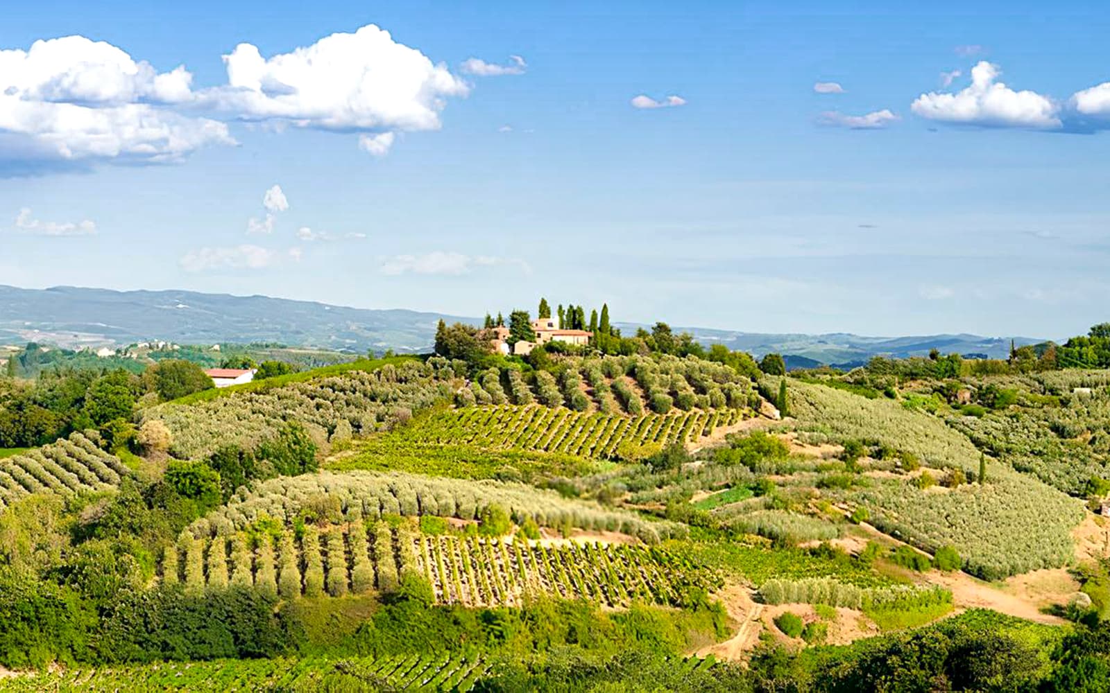 From Florence: Siena, San Gimignano & Chianti Day Trip with Local Flavors Experience tickets in Florence - Activities | TickYourList