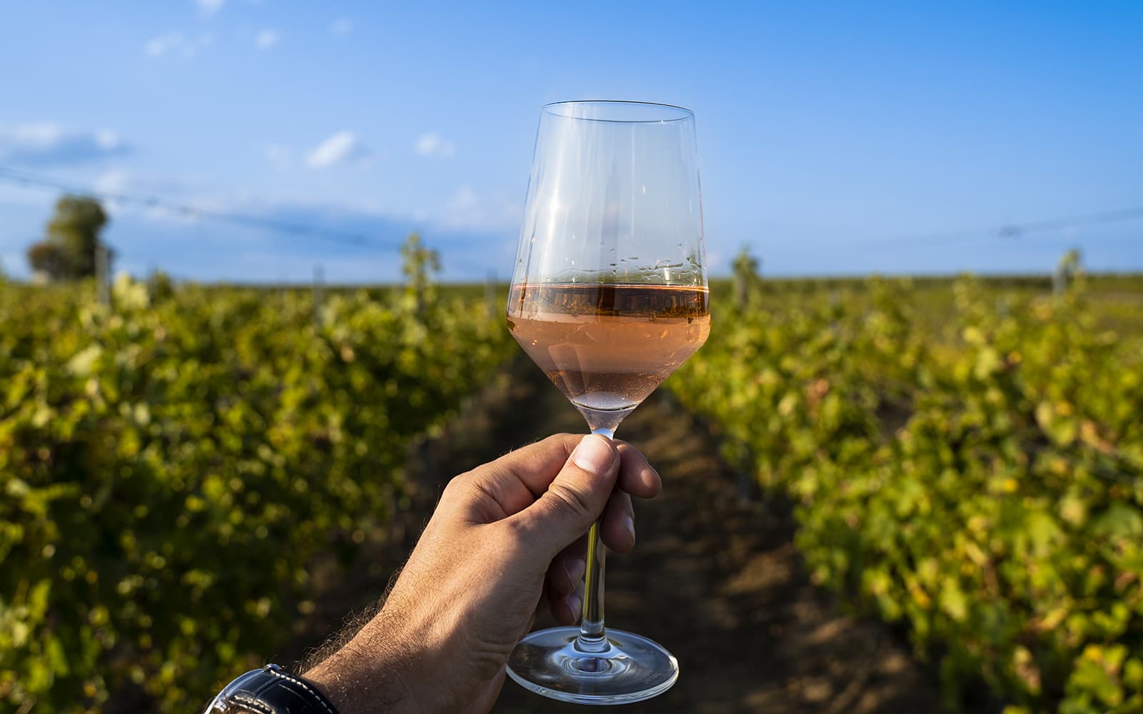 From Florence: Siena, San Gimignano & Chianti Day Trip with Local Flavors Experience tickets in Florence - Highlights | TickYourList