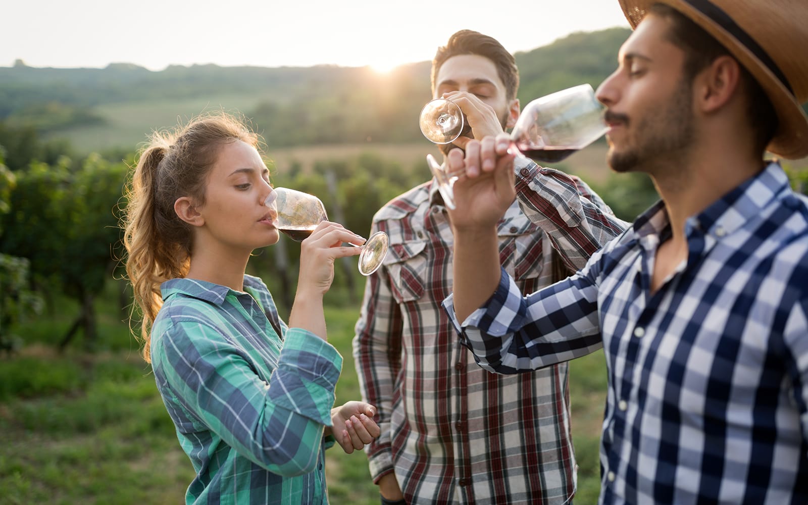 Chianti Region Guided Tour with Local Tastings and Vineyards tickets in Florence - Attractions | TickYourList