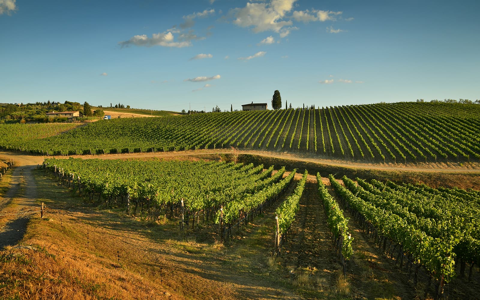 Chianti Region Guided Tour with Local Tastings and Vineyards tickets in Florence - Highlights | TickYourList