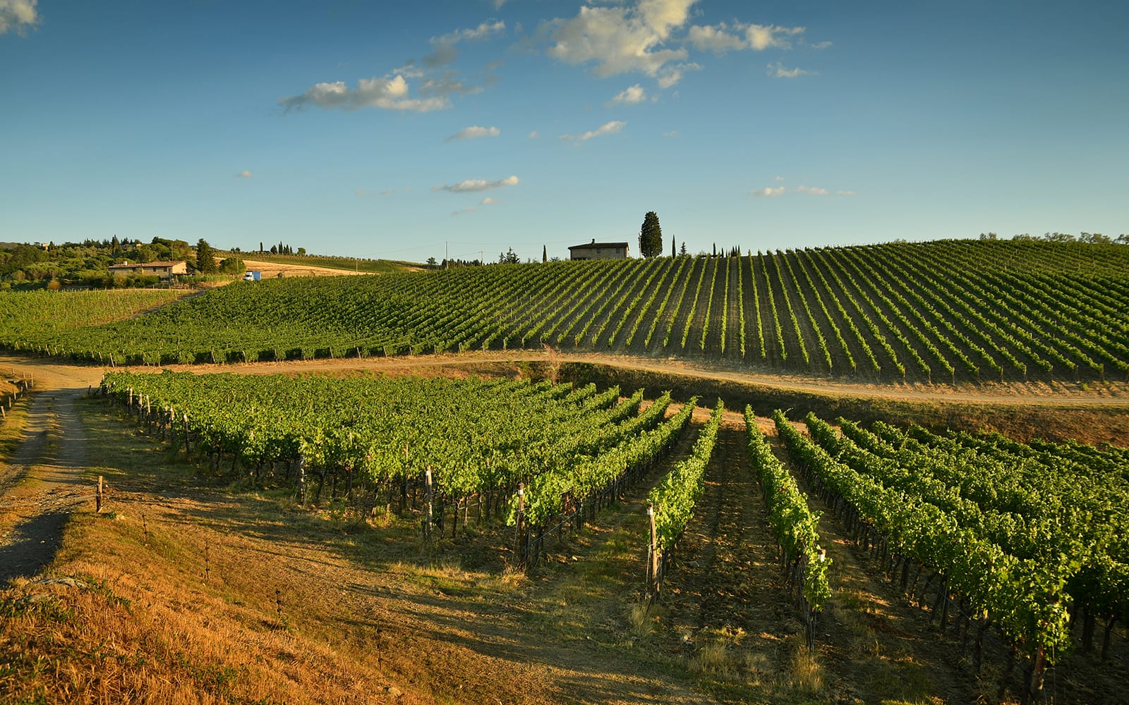 Chianti Region Guided Tour with Local Tastings and Vineyards tickets in Florence - Highlights | TickYourList