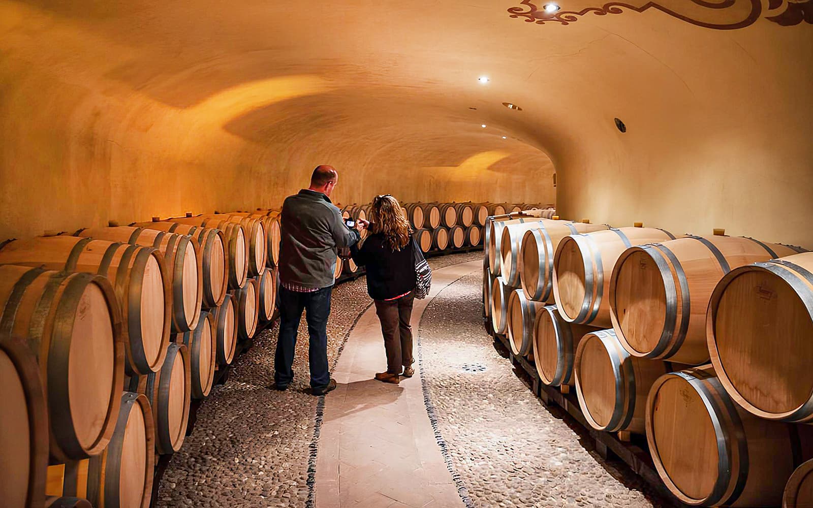 From Florence: Chianti Countryside & Olive Grove Semi-Private Tour with Lunch & Gourmet Pairings