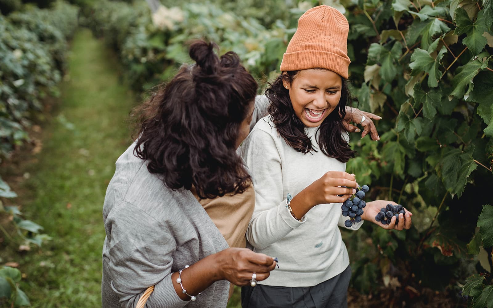 Taste of Chianti: Countryside Flavors & Vineyard Tour and Tastings tickets in Florence - Attractions | TickYourList