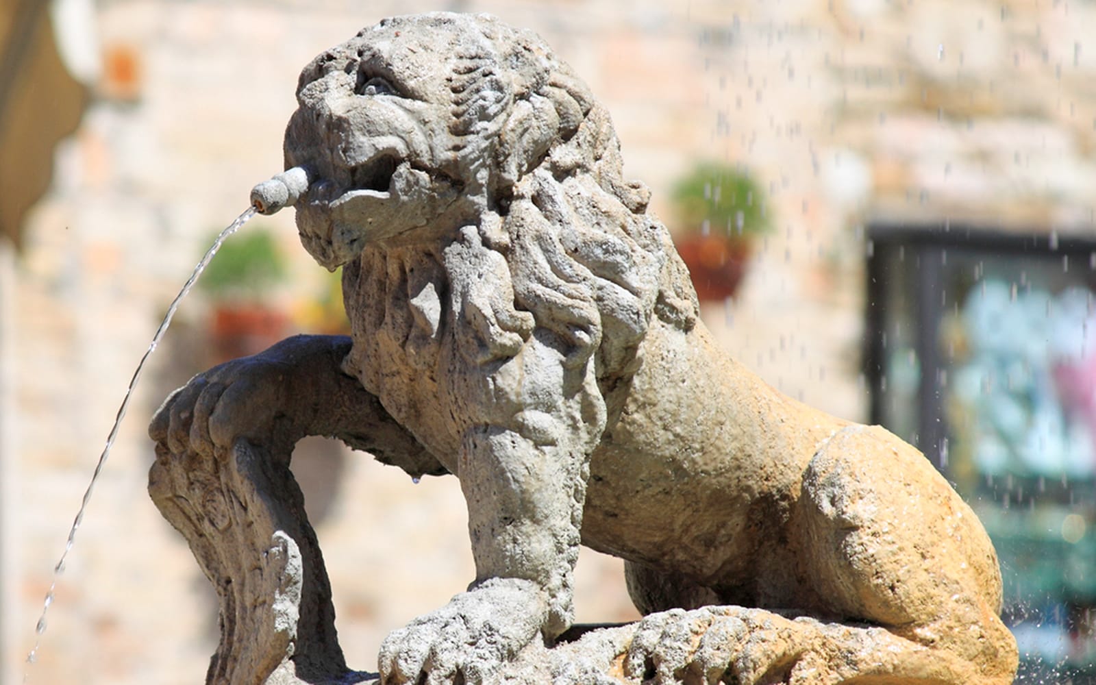 Small Group Tour to Assisi, Cortona & Passignano Sul Trasimeno From Florence tickets in Florence - Features | TickYourList