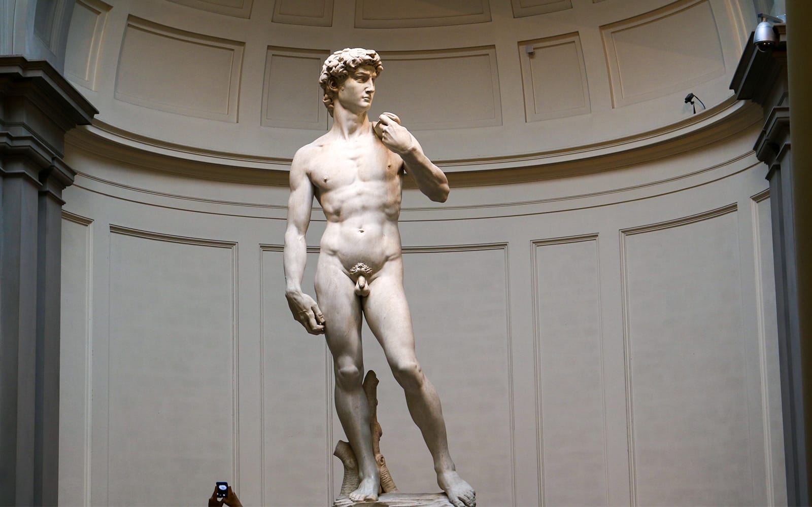 Accademia Gallery and Duomo Skip-the-Line Guided Tour
