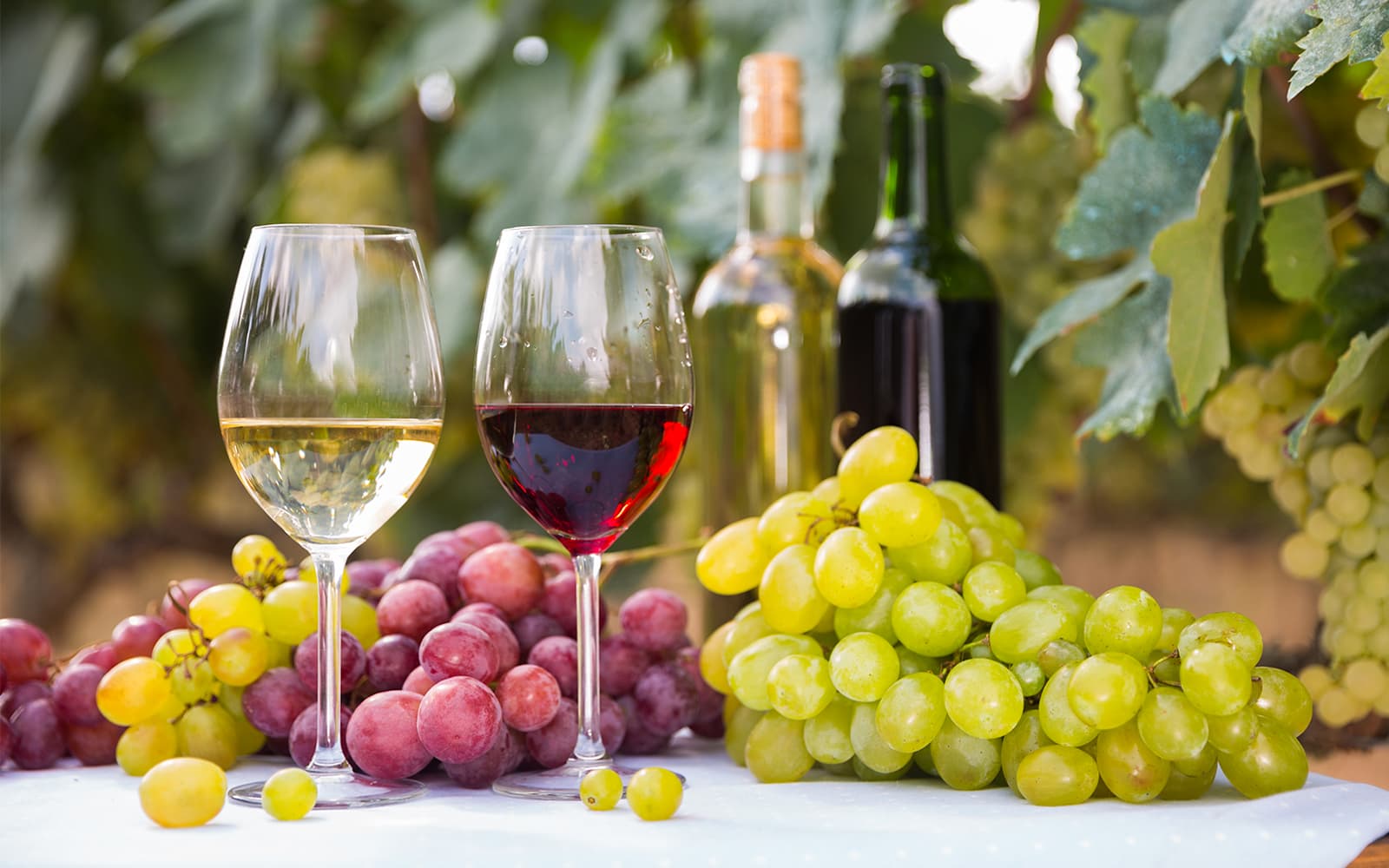 Guided Wine Tasting & Dinner Experience in Chianti tickets in Florence - Activities | TickYourList