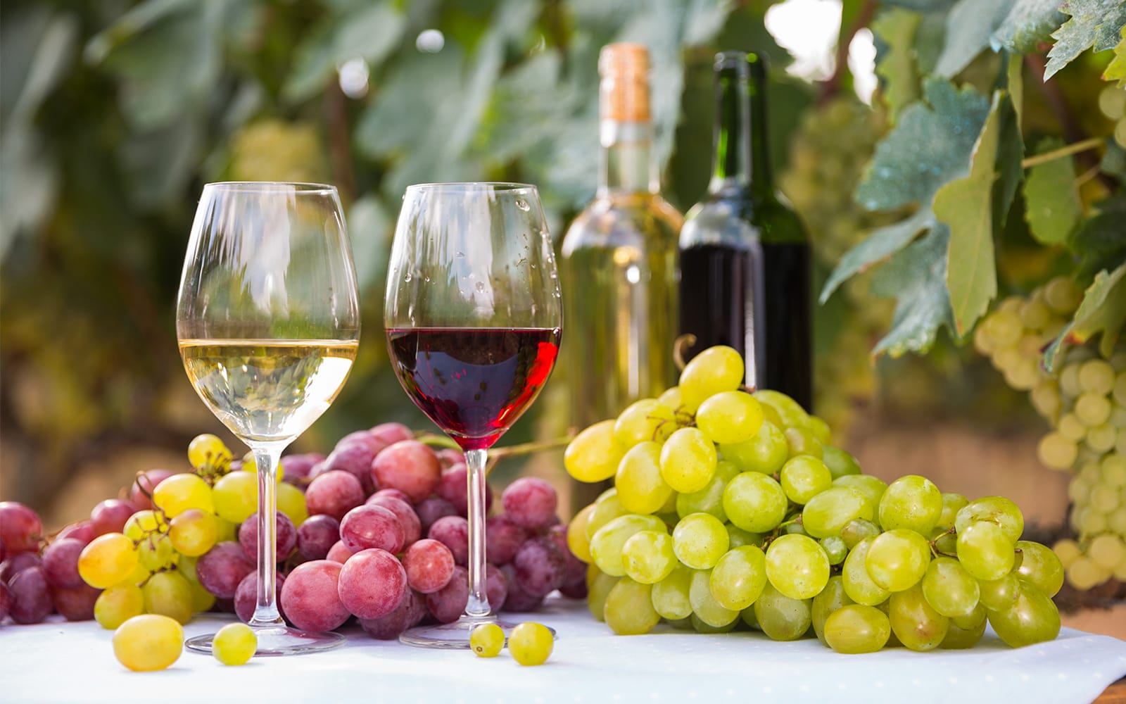 Guided Wine Tasting & Dinner Experience in Chianti tickets in Florence - Activities | TickYourList