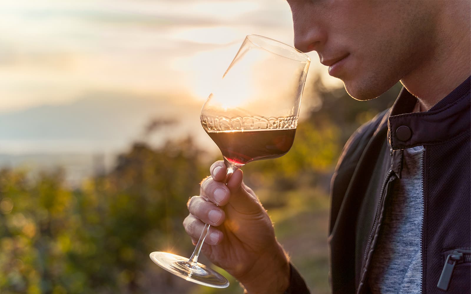 Guided Wine Tasting & Dinner Experience in Chianti tickets in Florence - Full Experience | TickYourList