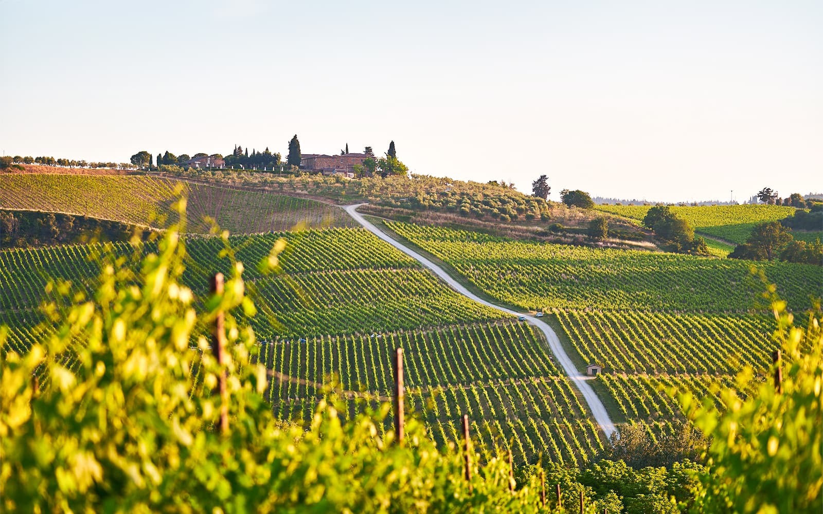 Guided E-Bike Rental in Chianti with Dinner tickets in Florence - Attractions | TickYourList
