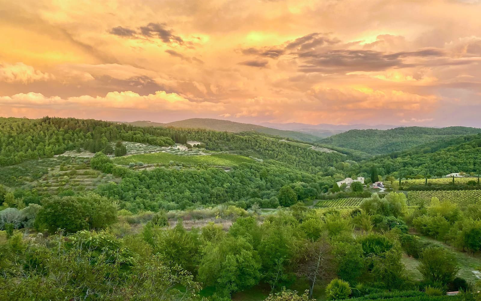 Guided E-Bike Rental in Chianti with Dinner tickets in Florence - Activities | TickYourList