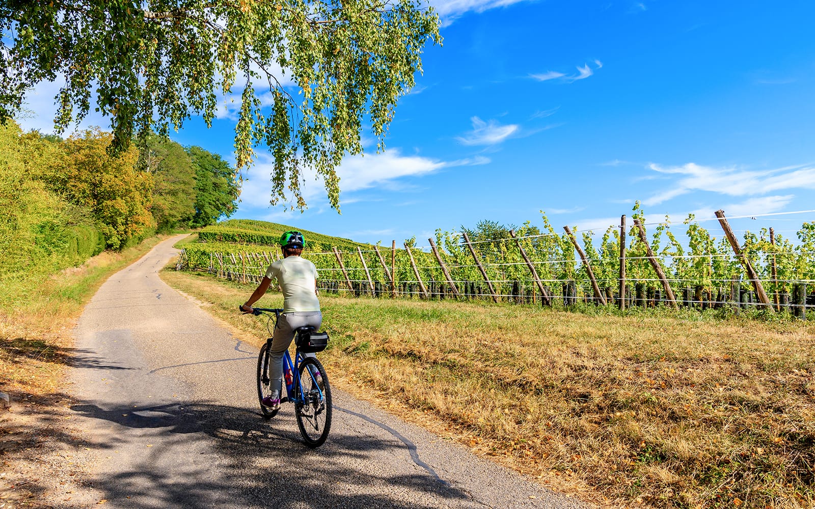 3-Hour Guided E-Bike Tour of Chianti with Wine Tasting tickets in Florence - Attractions | TickYourList