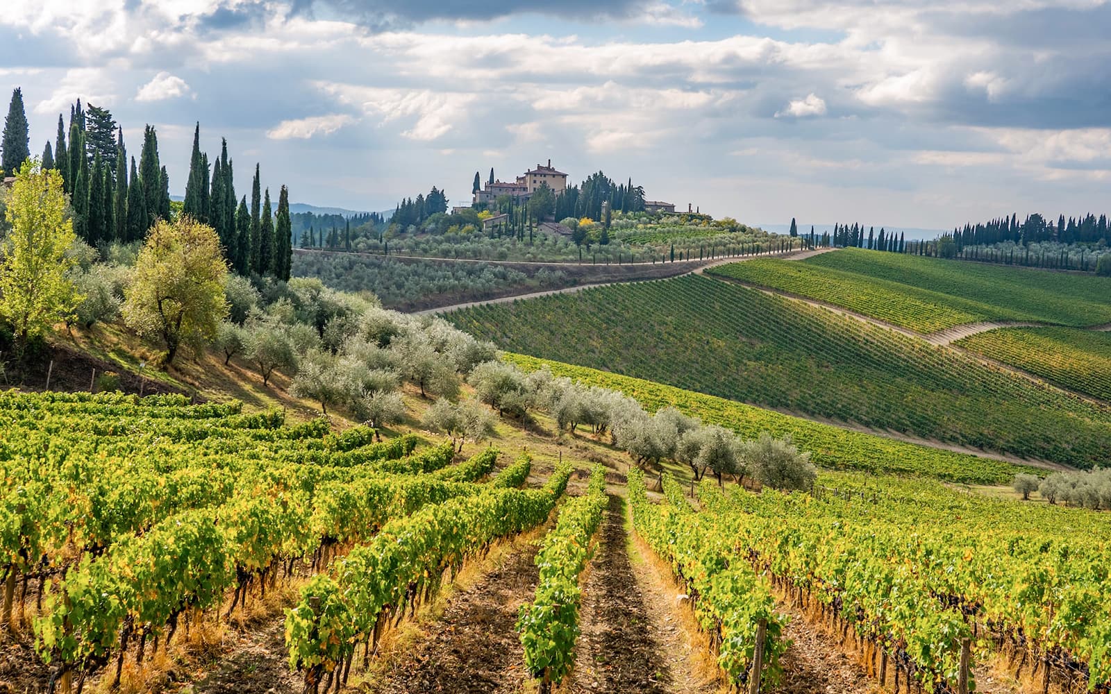 3-Hour Guided E-Bike Tour of Chianti with Wine Tasting tickets in Florence - Activities | TickYourList