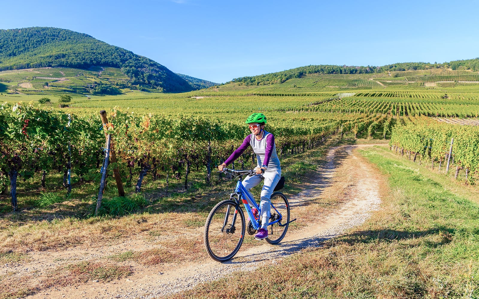 3-Hour Guided E-Bike Tour of Chianti with Wine Tasting tickets in Florence - Highlights | TickYourList