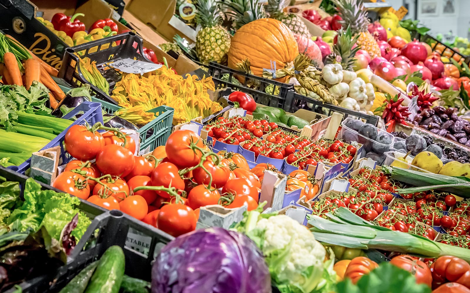 Cooking Class with Lunch in Chianti Hills tickets in Florence - Activities | TickYourList
