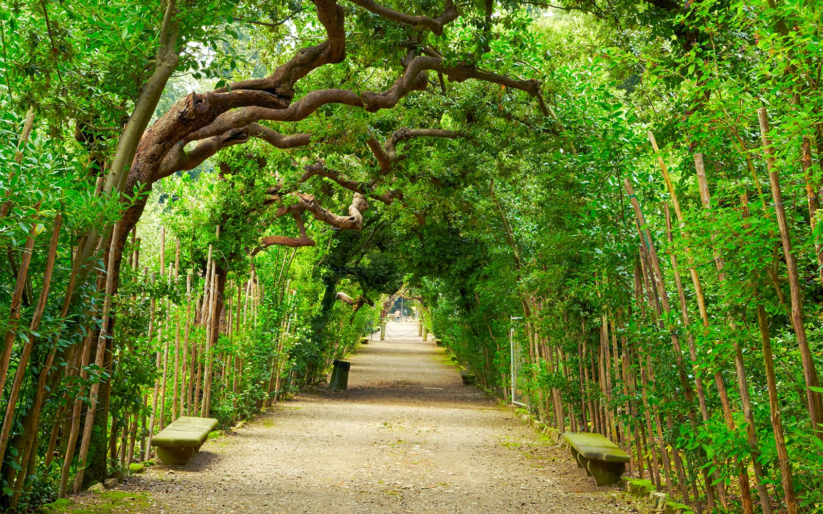 Pitti Palace, Palatine Gallery & Boboli Gardens Guided Tour tickets in Florence - Features | TickYourList