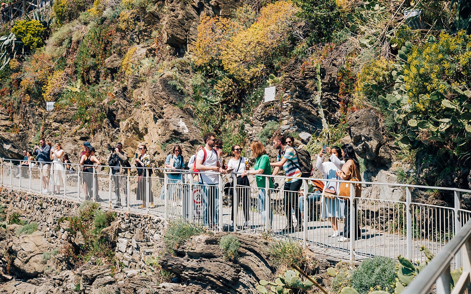 From Florence: Cinque Terre Round-Trip Bus Transfers tickets in Florence - Highlights | TickYourList