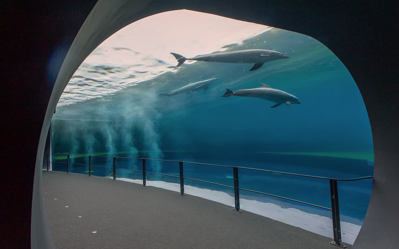 Combo: Genoa Aquarium + FantaCinema Museum Tickets in Genoa - Activities | TickYourList