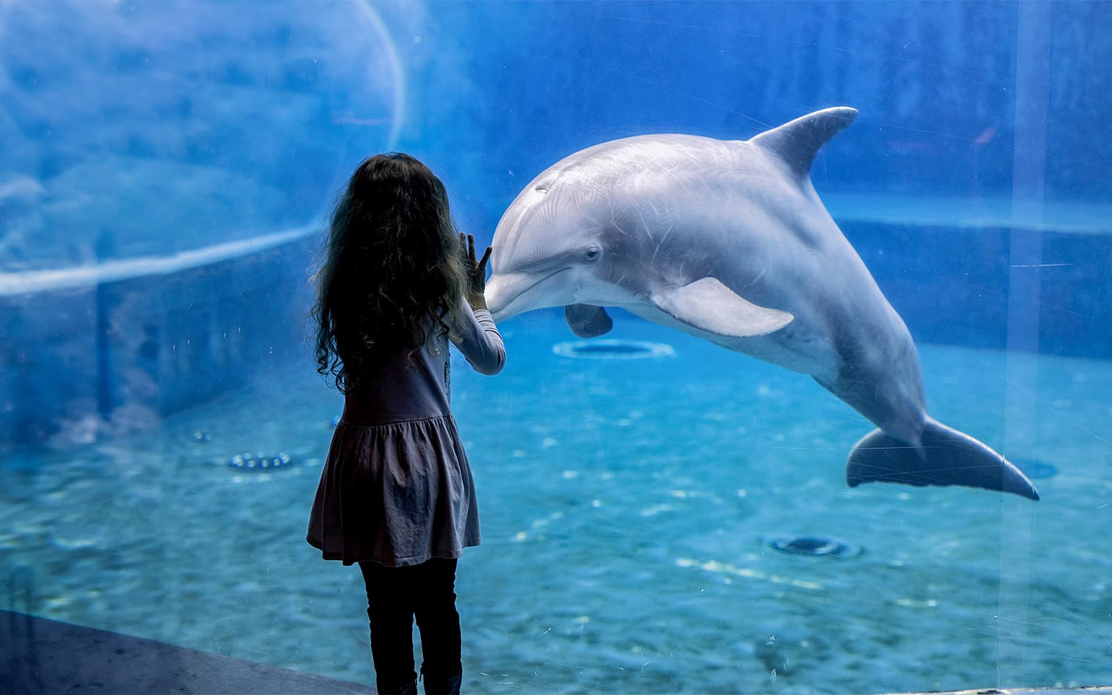 Tickets to Genoa Aquarium with Lunch in Genoa - Activities | TickYourList