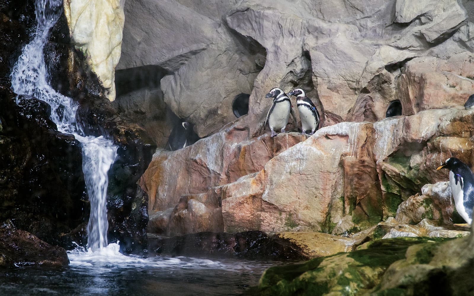 Tickets to Genoa Aquarium with Lunch in Genoa - Features | TickYourList