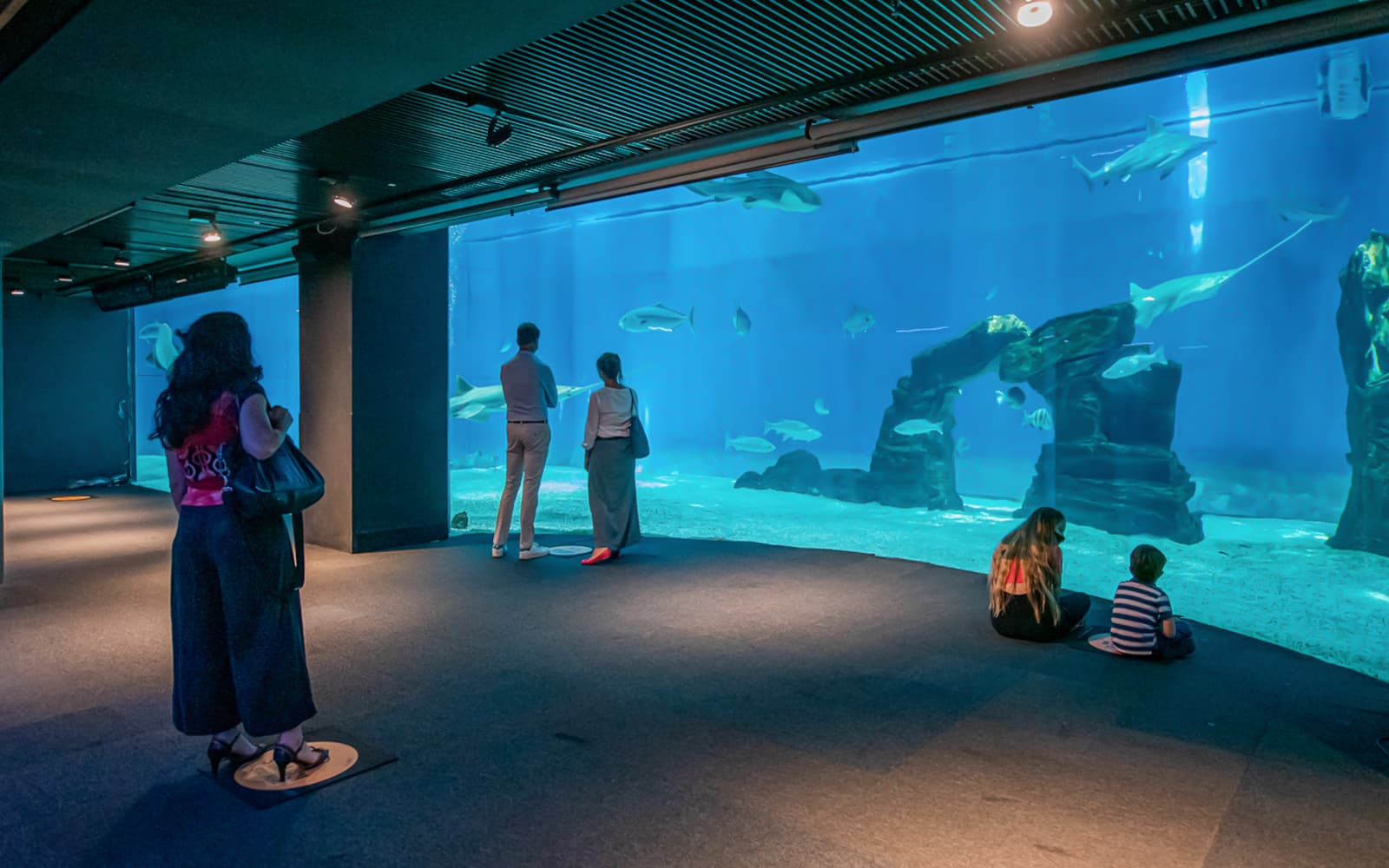 Combo: Genoa Aquarium + Christopher Columbus House Tickets in Genoa - Activities | TickYourList