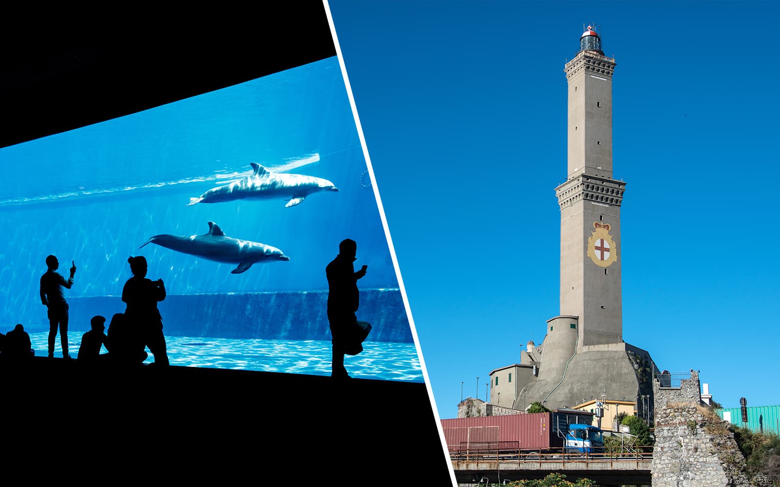 Combo: Genoa Aquarium + Lighthouse of Genoa Tickets