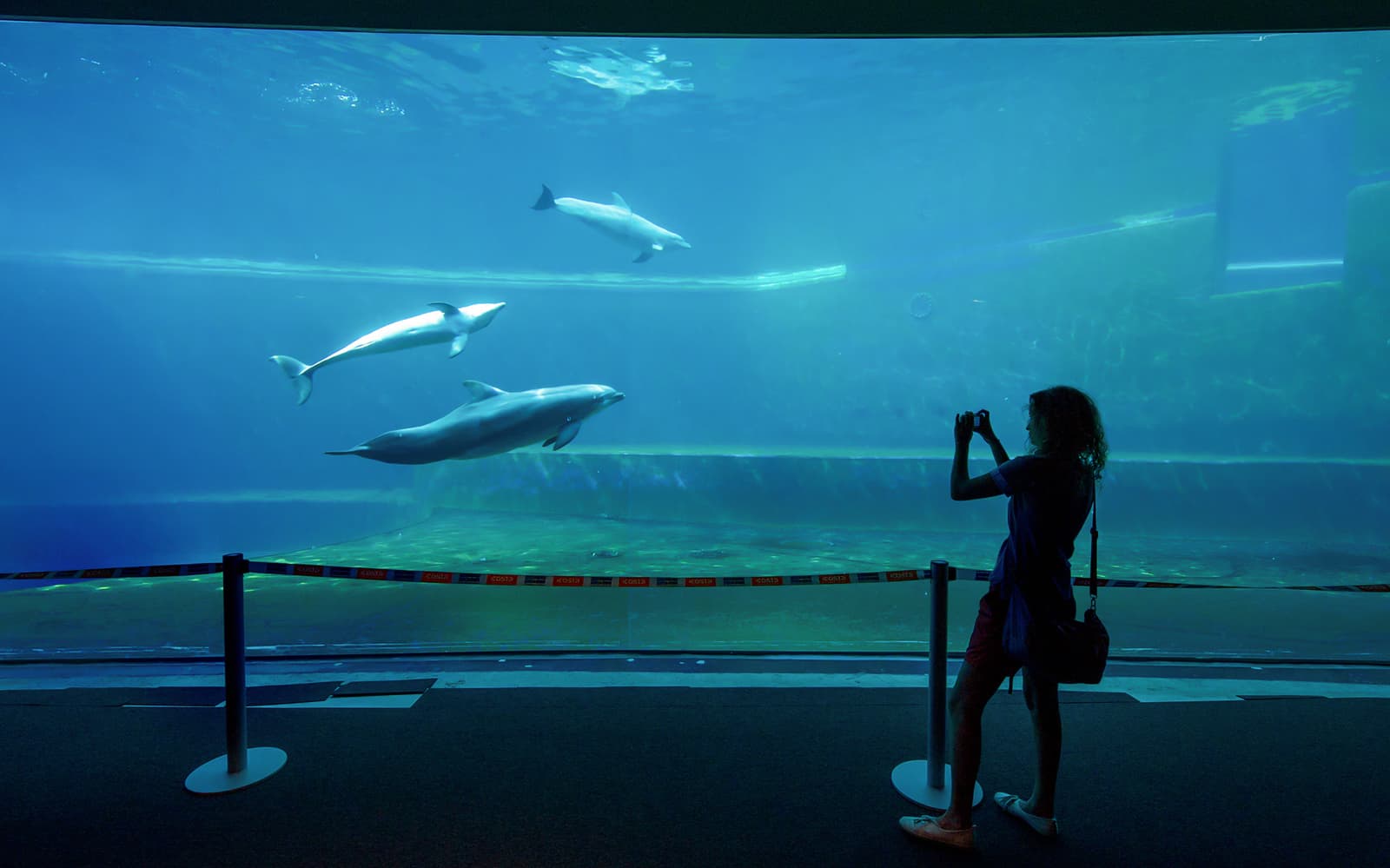 Combo: Genoa Aquarium + Lighthouse of Genoa Tickets in Genoa - Attractions | TickYourList