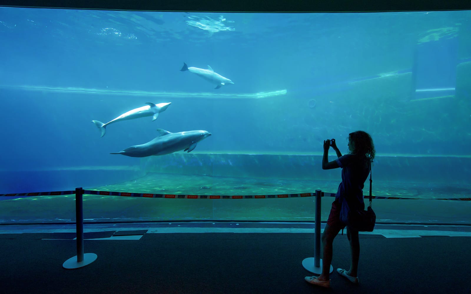 Combo: Genoa Aquarium + Lighthouse of Genoa Tickets in Genoa - Attractions | TickYourList
