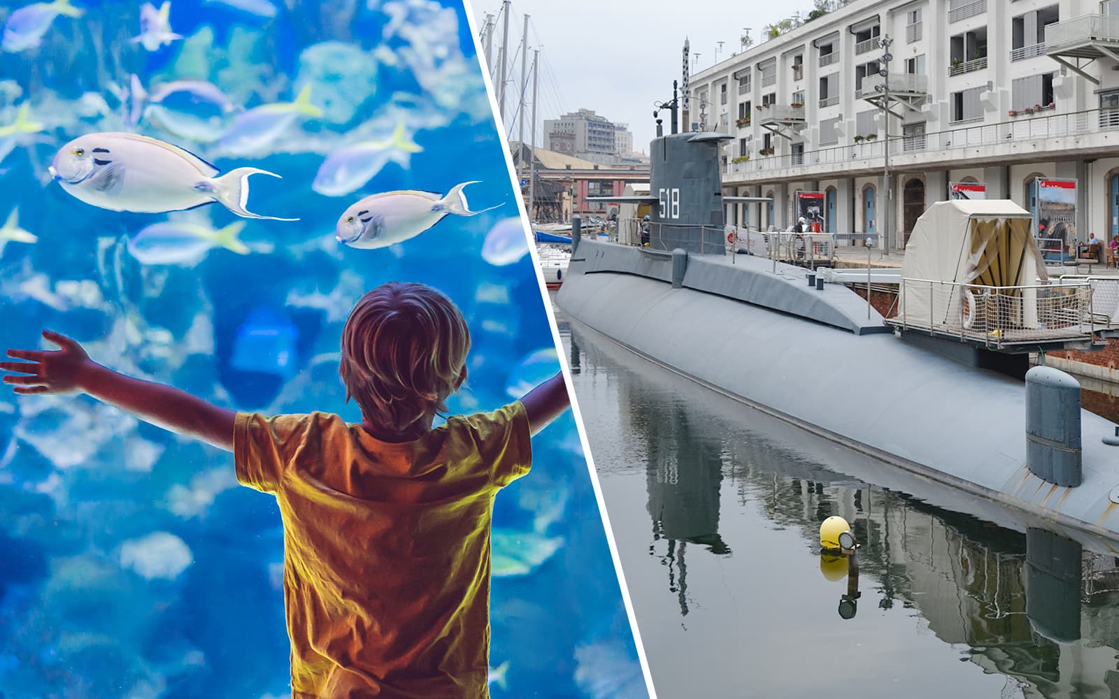 Combo: Aquarium of Genoa + Galata Maritime Museum Tickets