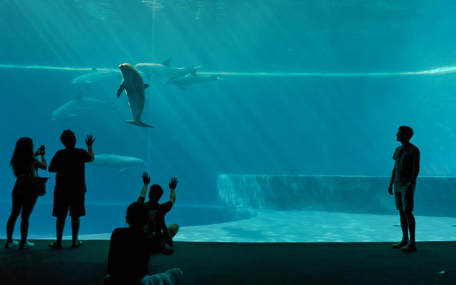 Combo: Aquarium of Genoa + Galata Maritime Museum Tickets in Genoa - Highlights | TickYourList