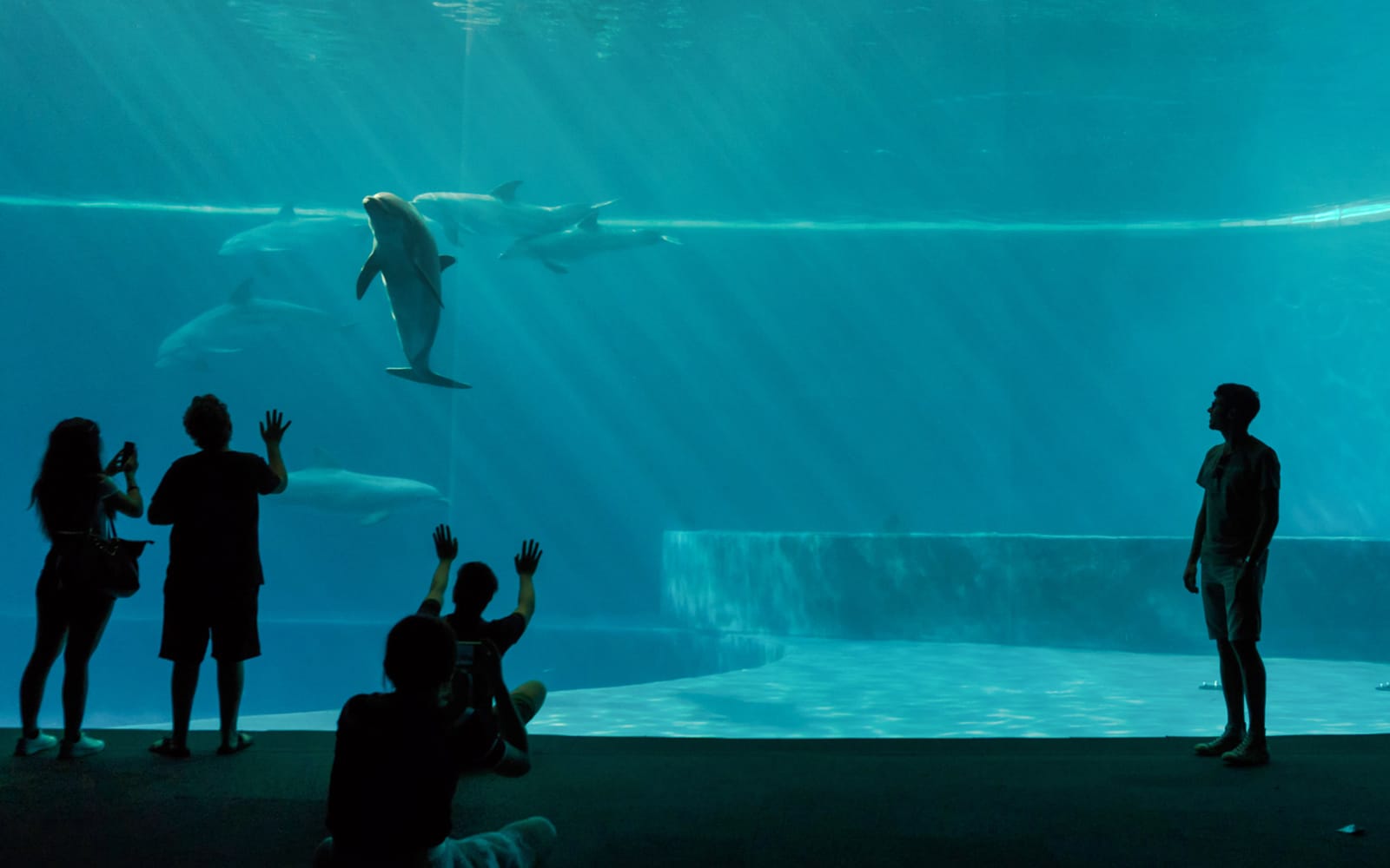 Combo: Aquarium of Genoa + Galata Maritime Museum Tickets in Genoa - Highlights | TickYourList