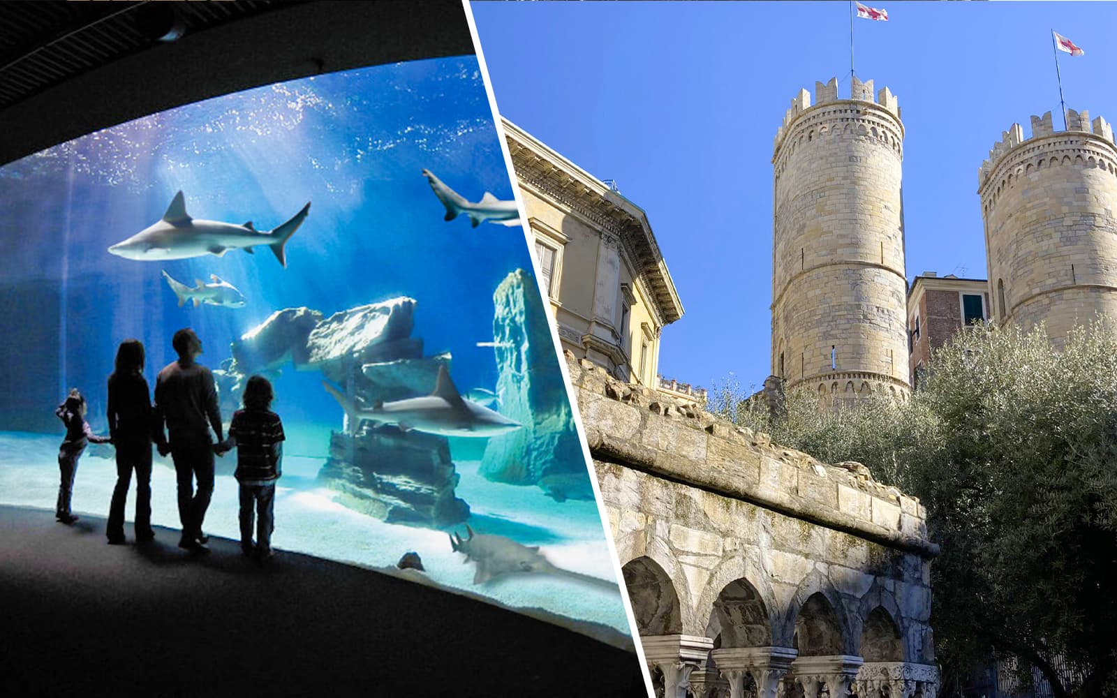 Tickets to the Aquarium of Genoa and Columbus' House