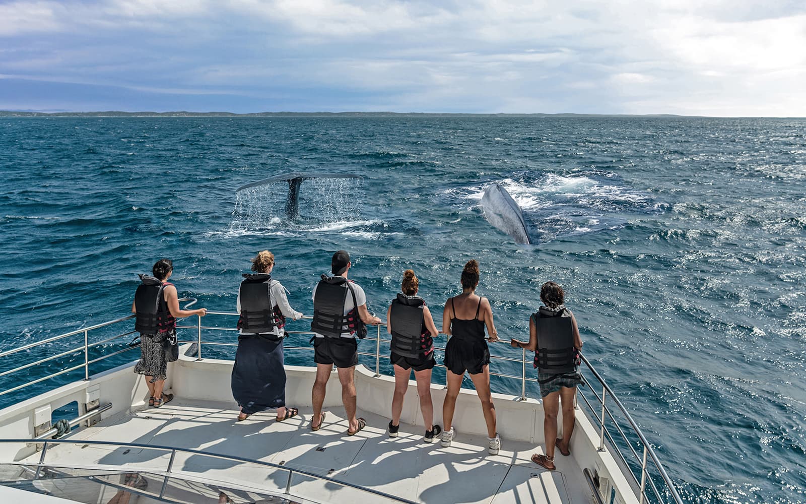 Combo: Genoa Aquarium Tickets + Pelagos Sanctuary Whale Watching Cruise in Genoa - Highlights | TickYourList