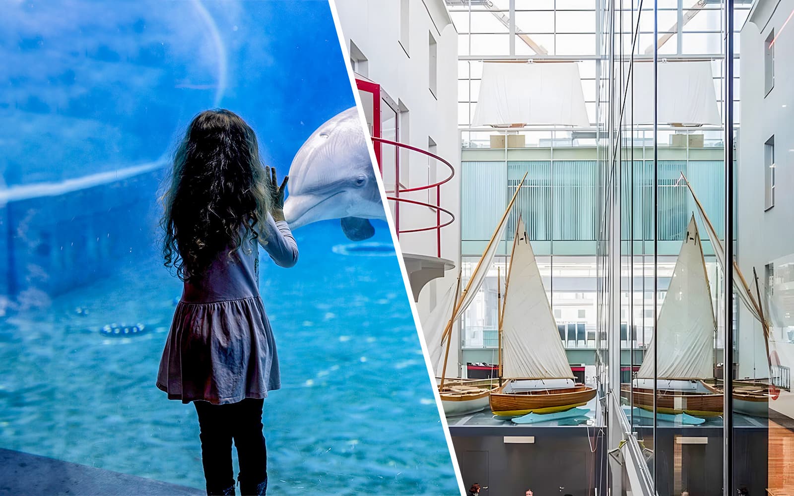 Combo: Genoa Aquarium + Galata Museo del Mare Tickets