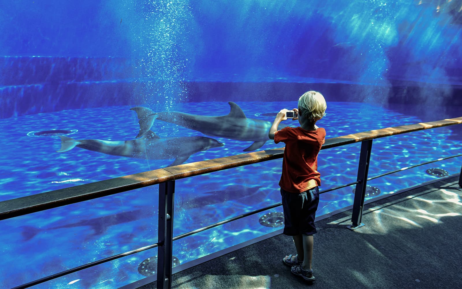 Combo: Genoa Aquarium + Galata Museo del Mare Tickets in Genoa - Activities | TickYourList