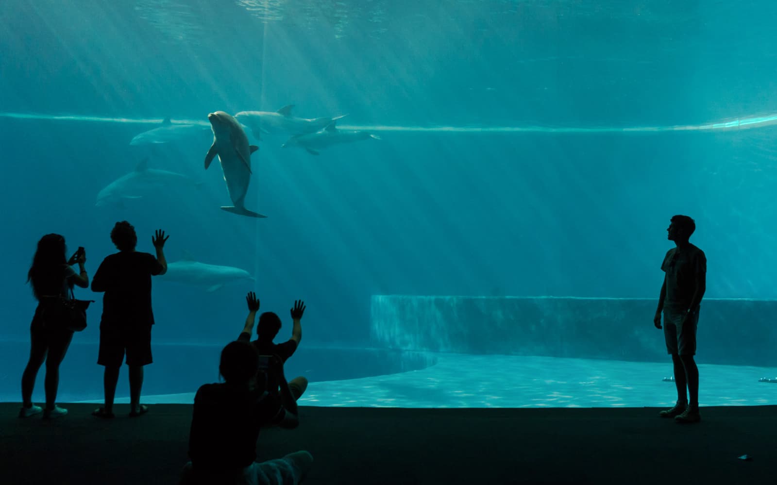 Skip-the-Line Tickets - Genoa Aquarium and Galata Maritime Museum in Genoa - Attractions | TickYourList