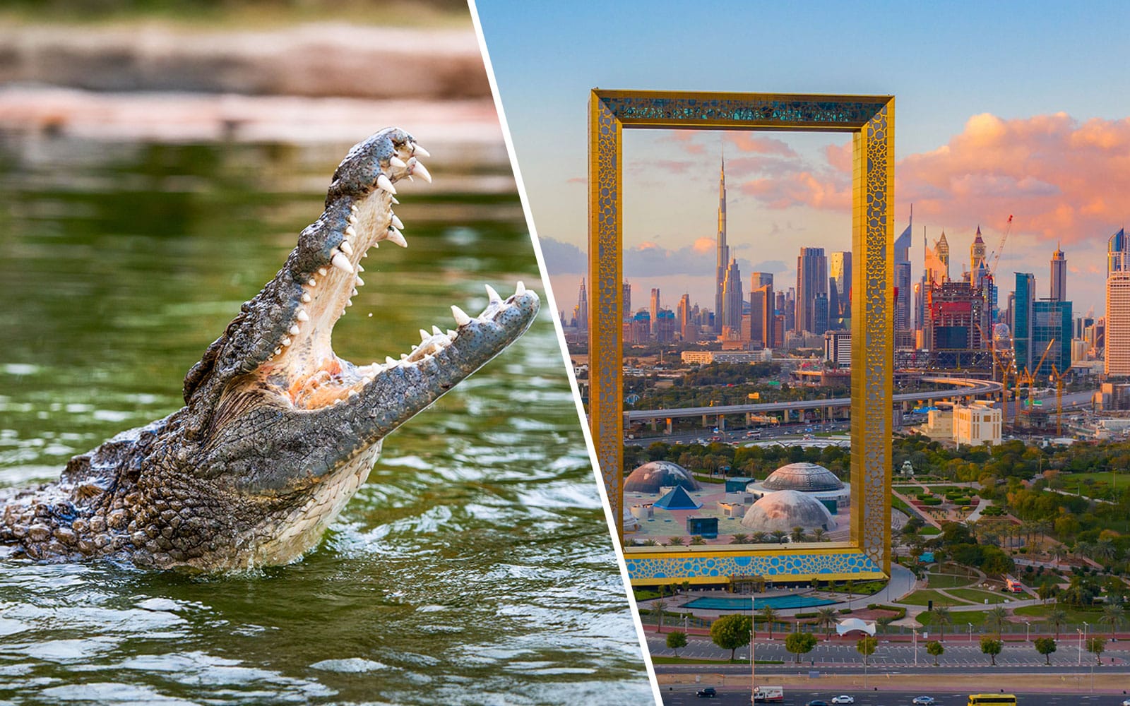 c40838a3218b4f0d49358f37beeb68f7-31887-dubai-dubai-crocodile-park-tickets---dubai-frame-tickets-01.jpg