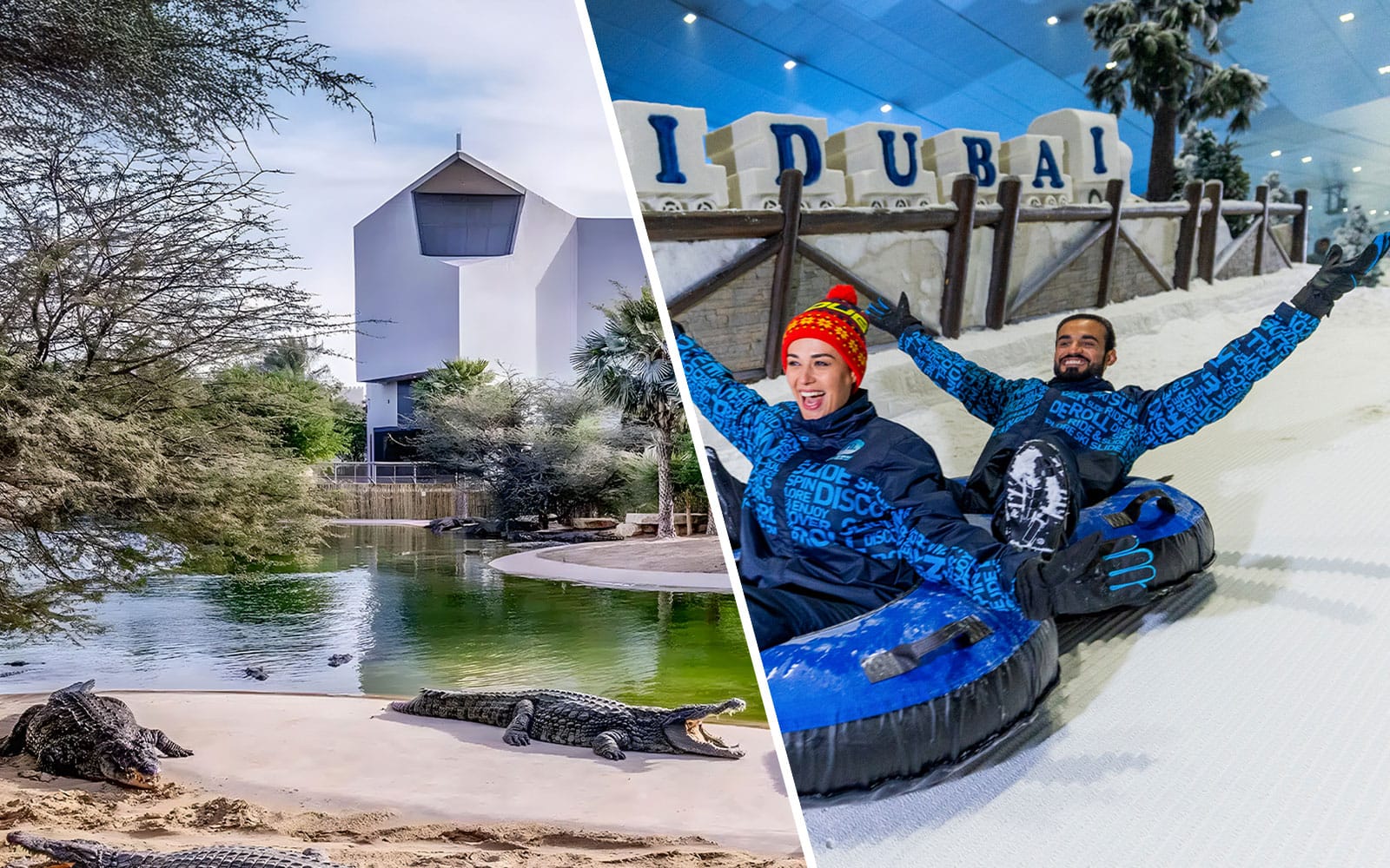 29b2c68f0c1f6a6e64a4d88d97feb645-31890-dubai-dubai-crocodile-park-tickets---ski-dubai-snow-park-tickets-01.jpg